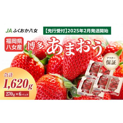 ふるさと納税 福岡県 八女市 【2025年2月発送開始】博多あまおうＧ270g×6パック｜ＪＡふくお...