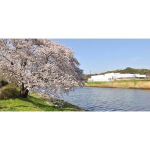 ふるさと納税 楽器 管楽器・吹奏楽器 千葉県 ...の詳細画像5