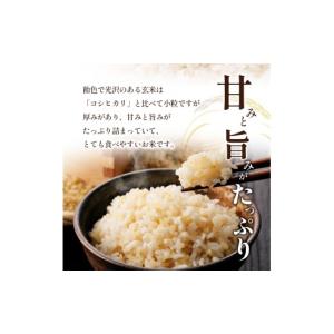 ふるさと納税 米 ヒノヒカリ 香川県 東かがわ...の詳細画像5