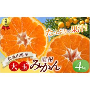 ふるさと納税 果物類 みかん 和歌山県 紀美野町 ボリューム満点 大玉 温州みかん 4kg 秀優混合 2L〜3Lサイズ 2025年12月から2026年２月下旬頃に順次発送 味好…｜ふるさとチョイス