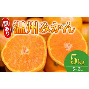 ふるさと納税 果物類 みかん 和歌山県 紀美野町  和歌山県産 訳あり品 温州みかん 5kg 箱込み(早生・中生・晩稲) S〜2Lサイズおまかせ 2025年10月中旬〜2026年…｜ふるさとチョイス
