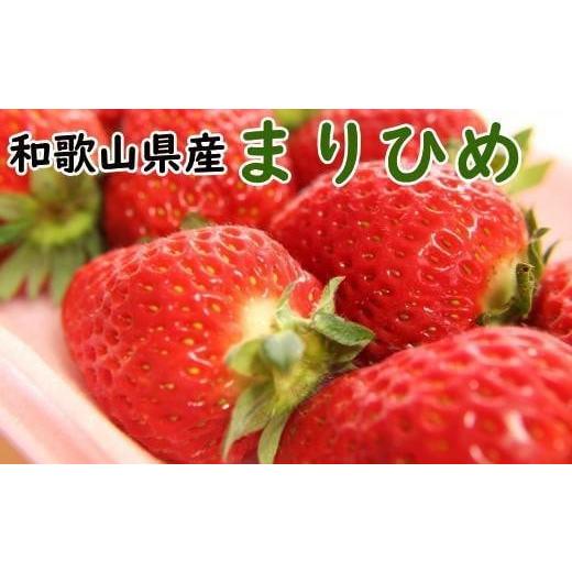 ふるさと納税 和歌山県 九度山町 和歌山県産ブランドいちご「まりひめ」大粒系約300g×2パック入り...