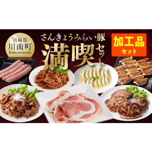 ふるさと納税 宮崎県 川南町 【かんたん調理で満喫コース】令和6年7月発送分　さんきょうみらい豚満喫...