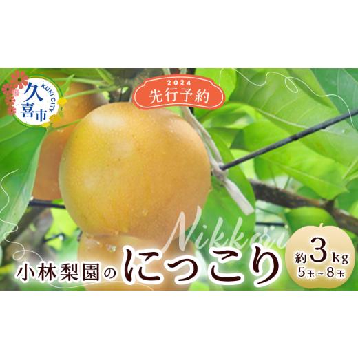 ふるさと納税 埼玉県 久喜市 【先行予約 数量限定】梨 にっこり 約3kg 5玉〜8玉【埼玉県 久喜...