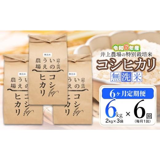 ふるさと納税 山形県 鶴岡市 【令和6年産 先行予約】【定期便6ヶ月】井上農場のコシヒカリ 無洗米 ...