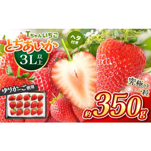 ふるさと納税 いちご 栃木県 真岡市  先行予約 とちあいか３L以上ホール詰め 350g