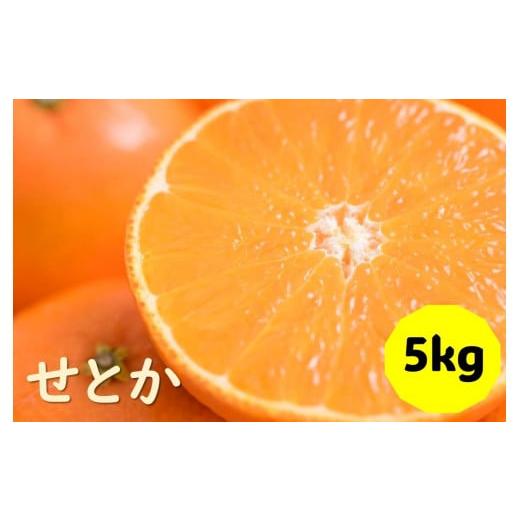 ふるさと納税 愛媛県 伊予市 せとか バラ詰め 5kg 先行予約 2025年1月発送 愛媛 数量限定...