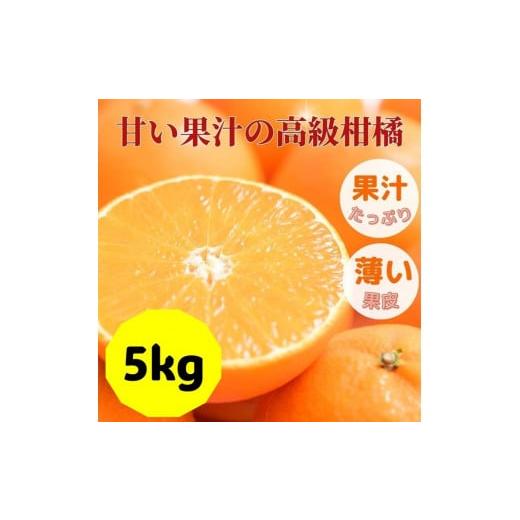 ふるさと納税 愛媛県 伊予市 愛果28号 バラ詰め 5kg 先行予約 12月発送 愛媛 数量限定 愛...