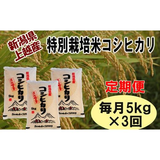 ふるさと納税 新潟県 上越市 【定期便】新潟県上越産特別栽培米コシヒカリ5kg×3回　令和5年度産