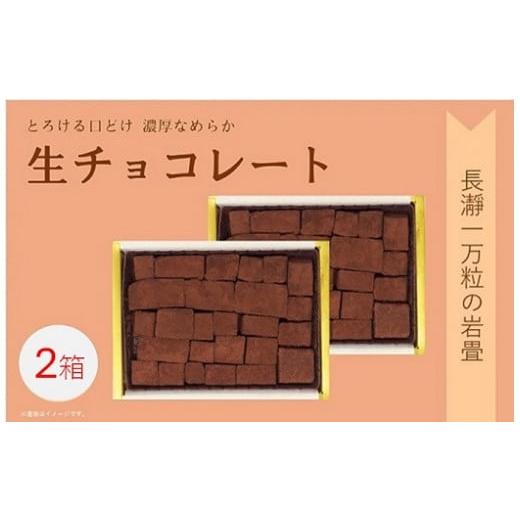 ふるさと納税 埼玉県 皆野町 生チョコレート「長瀞一万坪の岩畳」Lサイズ（約189g×2箱入り）