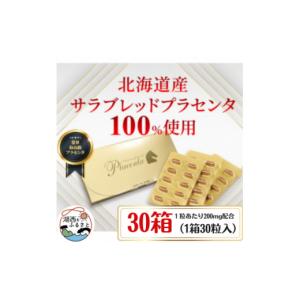 ふるさと納税 加工品等 静岡県 湖西市 サラブレ...の商品画像