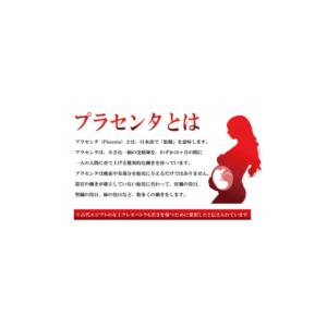 ふるさと納税 加工品等 静岡県 湖西市 サラブ...の詳細画像2