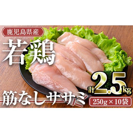 ふるさと納税 鶏肉 ささみ 鹿児島県 曽於市 鹿児島県産若鶏 筋なしササミ(計2.5kg・250g×...