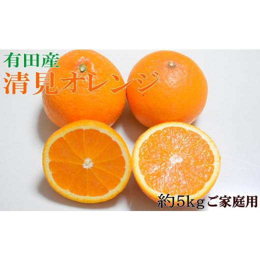 ふるさと納税 果物類 みかん 和歌山県 すさみ町  先行予約 濃厚 有田産清見オレンジ約5kg(M〜...
