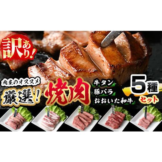 ふるさと納税 大分県 佐伯市 ＜訳あり＞厳選焼肉お試しセット (合計410g・5種)【DH263】【...