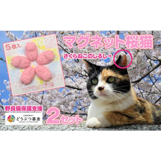 ふるさと納税 長野県 塩尻市 マグネット桜猫　5個入り2セット[6161072][野良猫保護支援 保...