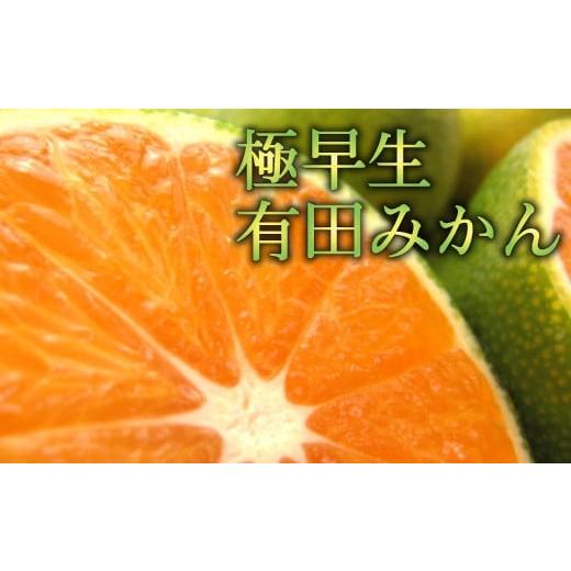 ふるさと納税 和歌山県 紀美野町 【初秋の美味】厳選!濃厚極早生有田みかん　約4kg【2024年10...