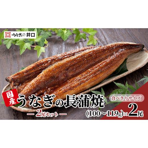 ふるさと納税 静岡県 浜松市 【食べきりサイズ】ITI優秀味覚賞受賞】長蒲焼2尾セット【配送不可：離...