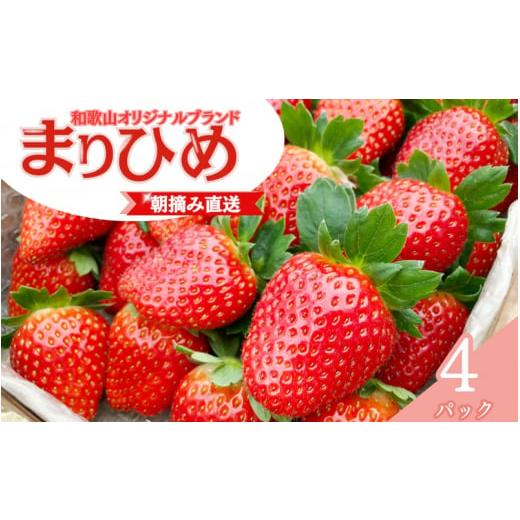 ふるさと納税 和歌山県 太地町 【先行予約】特大まりひめ いちご 朝摘 6個〜11個入り×4パック ...