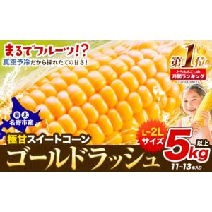 ふるさと納税 とうもろこし 北海道 名寄市 先...の詳細画像1