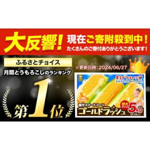 ふるさと納税 とうもろこし 北海道 名寄市 2...の詳細画像2
