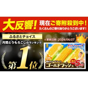 ふるさと納税 とうもろこし 北海道 名寄市 先...の詳細画像2