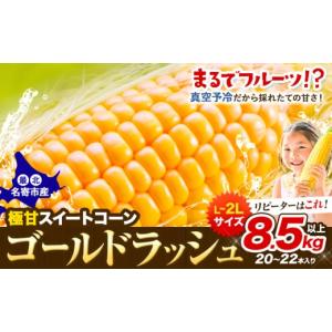 ふるさと納税 とうもろこし 北海道 名寄市 極...の詳細画像1