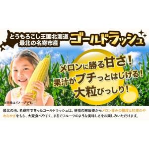 ふるさと納税 とうもろこし 北海道 名寄市 先...の詳細画像2