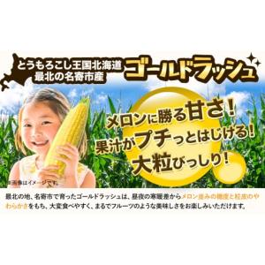 ふるさと納税 とうもろこし 北海道 名寄市 極...の詳細画像2