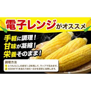 ふるさと納税 とうもろこし 北海道 名寄市 極...の詳細画像3