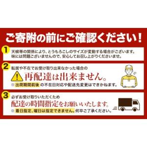 ふるさと納税 とうもろこし 北海道 名寄市 先...の詳細画像4