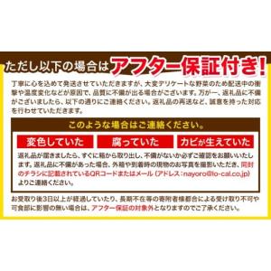 ふるさと納税 とうもろこし 北海道 名寄市 先...の詳細画像5