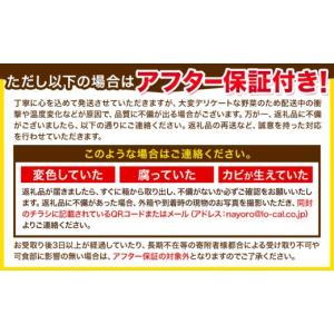 ふるさと納税 とうもろこし 北海道 名寄市 極...の詳細画像5