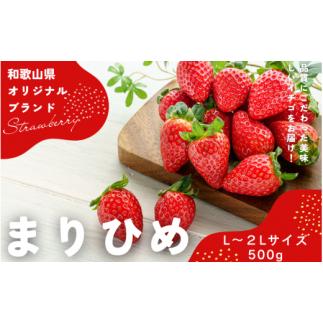 ふるさと納税 和歌山県 串本町 【先行予約】まりひめ いちご 12粒〜15粒入り×2パック（500g...