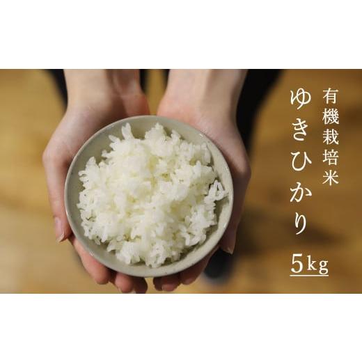 ふるさと納税 北海道 当麻町 令和5年産 有機栽培米ゆきひかり 5kg 舟山農産