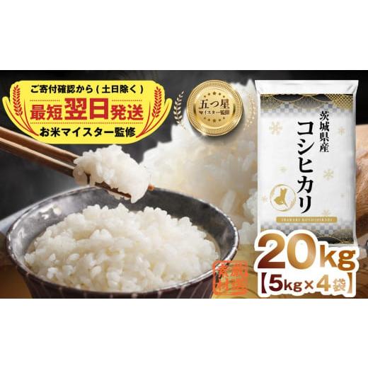 つくばみらい市 ふるさと納税 米 20kg