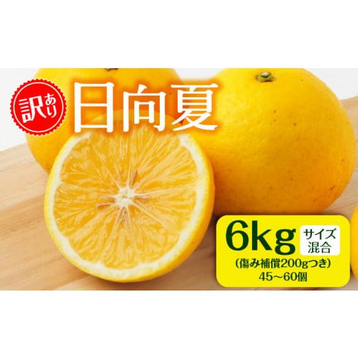 ふるさと納税 宮崎県 宮崎市 【訳あり】日向夏 6kg＋傷み補償(200g)つき サイズ混合_M24...