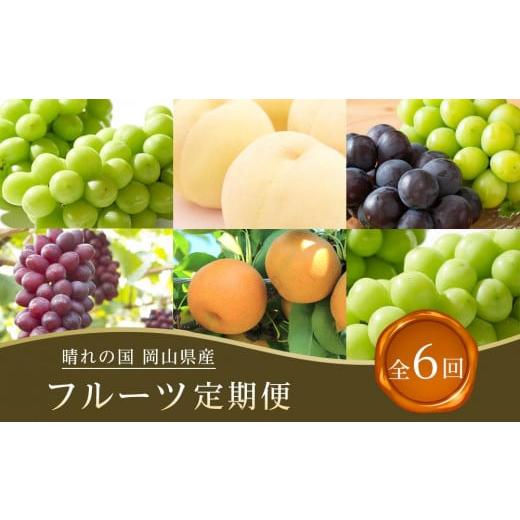 ふるさと納税 もも 岡山県 岡山市 フルーツ 2026年 全6回コース 晴れの国岡山 フルーツ定期便