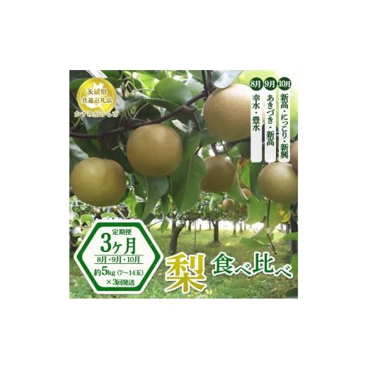 ふるさと納税 茨城県 土浦市 【先行予約限定】 【定期便3ヶ月】茨城県産 梨【食べ比べ3種定期便】約...