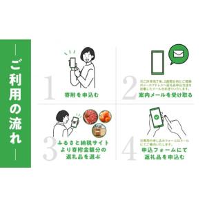 ふるさと納税 果物類 岐阜県 本巣市 あとから...の詳細画像2