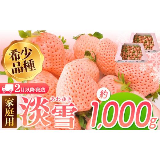 ふるさと納税 いちご 熊本県 玉名市  2月以降発送 ご家庭用淡雪 約1000g ｜ フルーツ 果物...