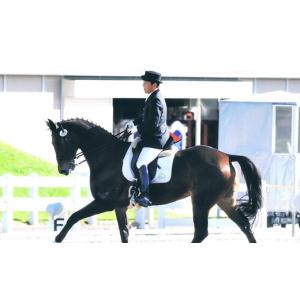 ふるさと納税 体験チケット 千葉県 四街道市 四街道グリーンヒル乗馬クラブ 店頭利用券 50000円分 ／ 乗馬体験 ビジターレッスン 自馬預託料
