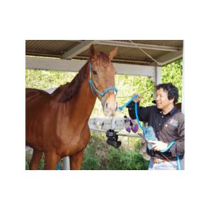 ふるさと納税 体験チケット 千葉県 四街道市 ...の詳細画像2