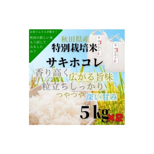 ふるさと納税 秋田県 湯沢市 特別栽培米 サキホコレ 5kg×2[H4-2301]