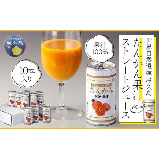 ふるさと納税 鹿児島県 屋久島町 屋久島たんかんジュース 190ml×10本＜屋久島の恵み／果汁10...