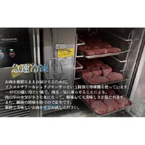 ふるさと納税 牛肉 ヒレ 佐賀県 大町町 定期...の詳細画像4
