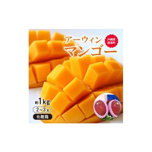 ふるさと納税 マンゴー 沖縄県 西原町  2026年6月から順次発送・化粧箱 JA厳選のアップルマン...