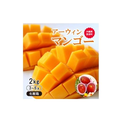 ふるさと納税 マンゴー 沖縄県 西原町  2026年6月から順次発送・化粧箱 JA厳選のアップルマン...