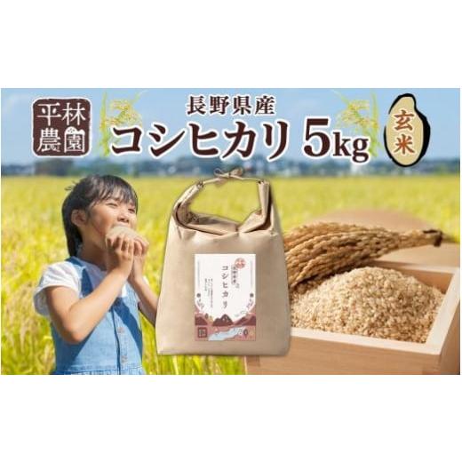 ふるさと納税 長野県 大町市 令和5年産 コシヒカリ 玄米 5kg×1袋 長野県産 米 お米 ごはん...