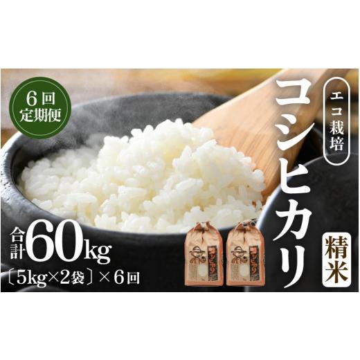 ふるさと納税 米 コシヒカリ 福井県 あわら市  先行予約 令和8年産 新米 《定期便6回》エコ栽培...